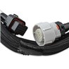 Holley | Terminator X Max Fuel Injection System