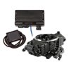Holley | Terminator X Stealth 4150 System