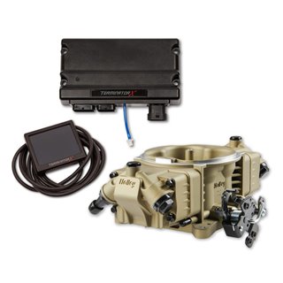 Holley | Terminator X Stealth 4150 System