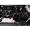 ROUSH | Cold Air Intake Kit - F150 2.7L / 3.5L V6 EcoBoost 18-20