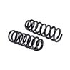 SuperSprings | SuperCoils - Ram 1500 2009-2023