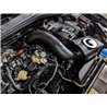 aFe Power | Momentum GT Cold Air Intake System w/Pro 5R Filter - GTI 2.0T 2022-2023