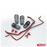 Eibach | PRO-PLUS Kit (Pro-Kit Springs & Sway Bars) - Mustang 2015-2022