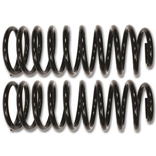 ICON Alloys | 2007-2014 Toyota FJ Cruiser/2003-2023 Toyota 4Runner/2003-2023 Lexus GX, 2" Lift, Rear Spring Kit