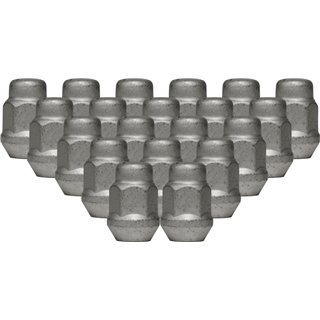 Ceco | (24) BULGE ACORN 2-PC 12X1.50 35mm H 19mm HEX DACROMET