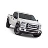 Bushwacker | Fender Flare - F-150 2.7T / 3.5L / 5.0L 2015-2017