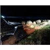 Oracle | Integrated Windshield Roof LED Light Bar System for Wrangler JL / Gladiator JT
