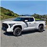 Westin | PRO TRAXX 4 Oval Nerf Step Bars - Tundra 3.5T 2022-2024