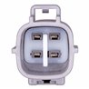 CURT | Trailer Wiring Adapter - C-HR / Corolla Cross 2.0L 2018-2024