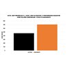 Mishimoto | Performance Aluminum Radiator, fits Jeep Wrangler JL 2018+ - Wrangler (4xe) / Wrangler (JL) 2018-2023