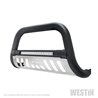 Westin | Bull Bar - F-150 2015-2020