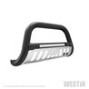 Westin | Bull Bar - F-150 2015-2020