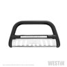 Westin | Bull Bar - F-150 2015-2020