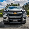 Westin | Grille Guard - Colorado 2.5L / 2.8L / 3.6L 2015-2020