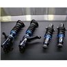 SCALE INNOVATIVE SERIES - RSX (DC5) 2002-2006