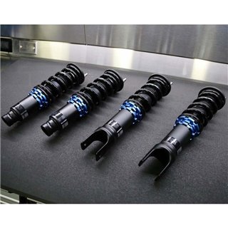 SCALE INNOVATIVE SERIES - Integra (DC2) 1994-2001 Rear Fork