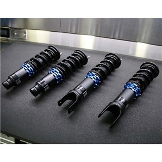 SCALE INNOVATIVE SERIES - Civic (EK/EM1) 1996-2000 REAR FORK